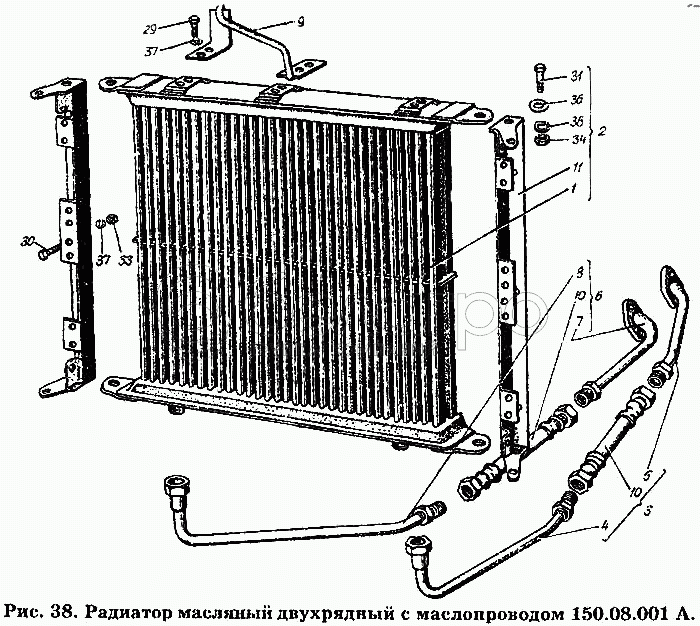 Радіатор масляний дворядний з маслопроводом 150.08.001 А