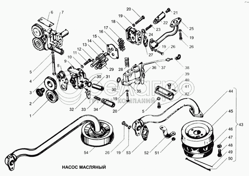 Масляний насос 236-1011014-В3