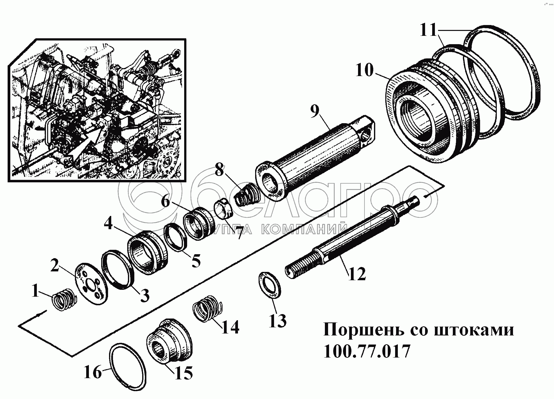 Поршень со штоками 100.77.017
